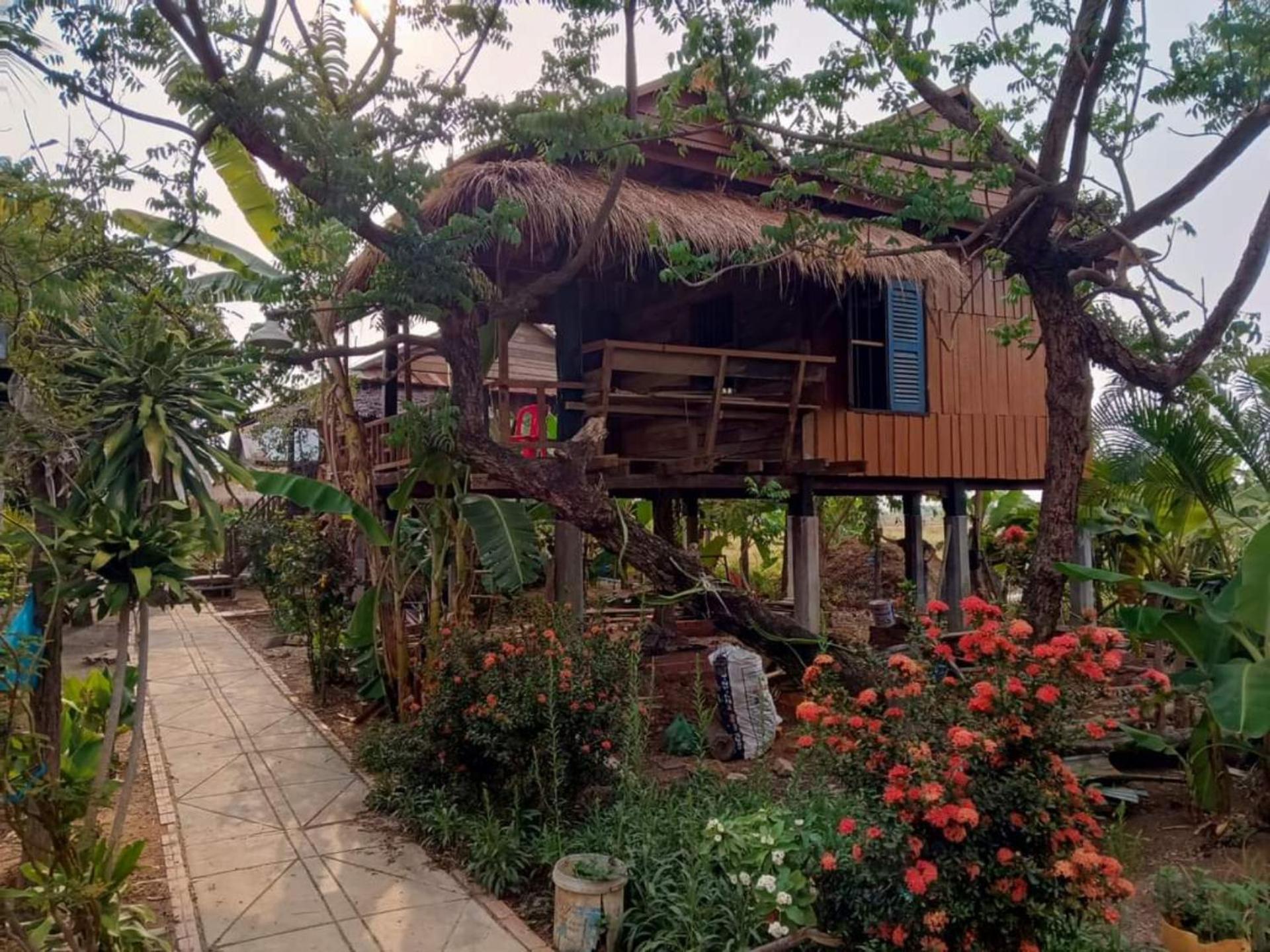 Family Batcave Homestay Battambang Exteriör bild