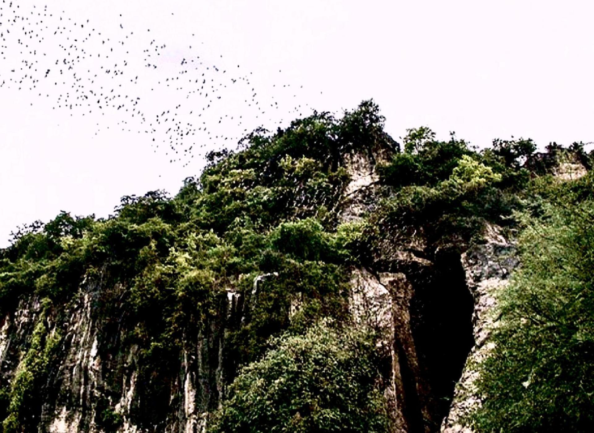 Family Batcave Homestay Battambang Exteriör bild